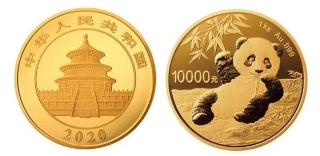 上海游泳男名将_上海游泳队帅哥_上海女特警曾是游泳冠军